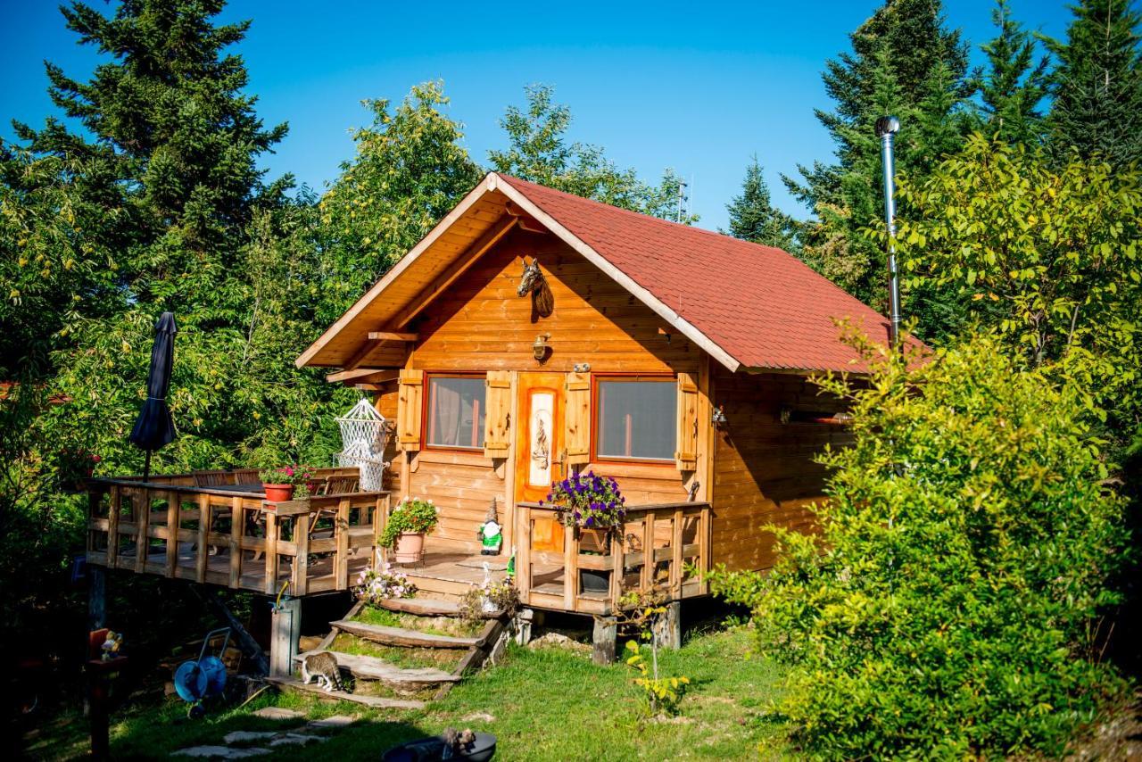 Kedra Village Exteriér fotografie